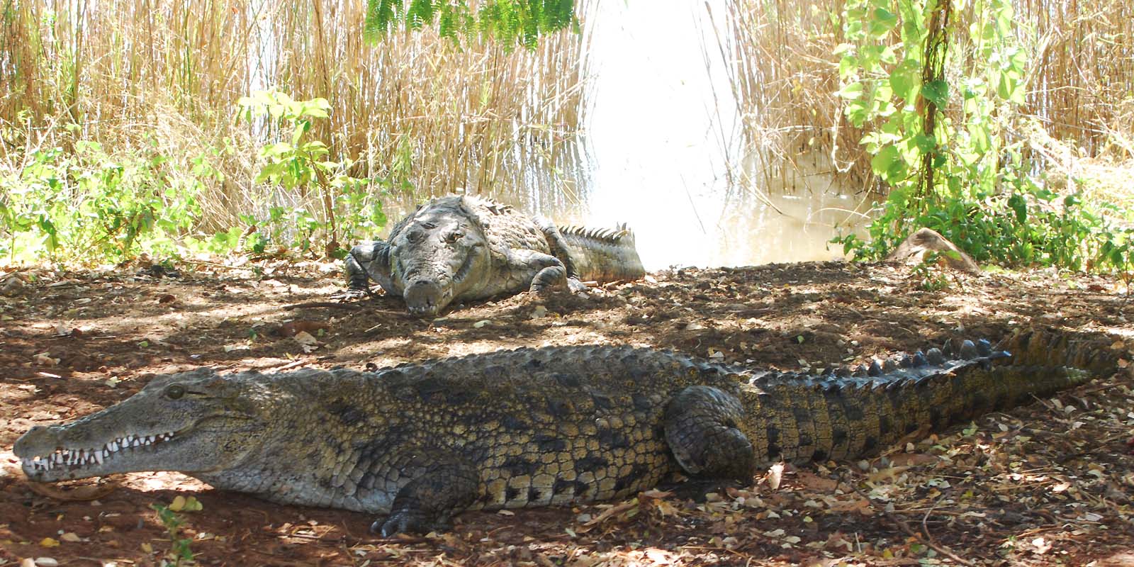 excursions inside Nosy Be island